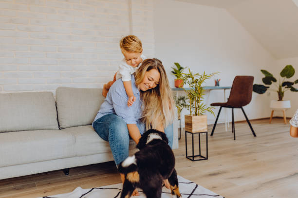 istock Little boys playing with mom and dog 1338655751