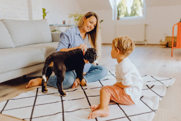 istock Little boys playing with mom and dog 1338655907