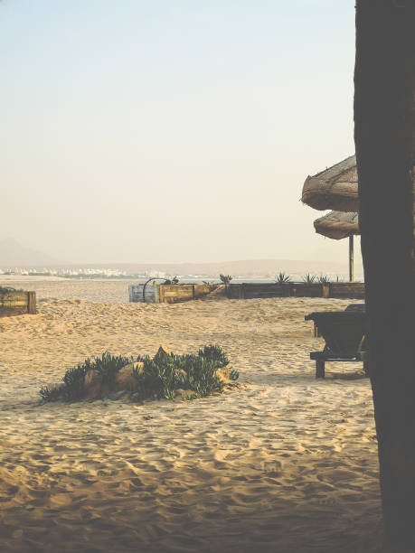 istock Horizon view of a desert 1338656096