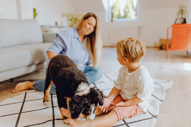 istock Little boys playing with mom and dog 1338656114