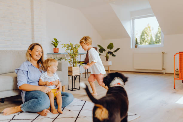 istock Little boys playing with mom and dog 1338656425