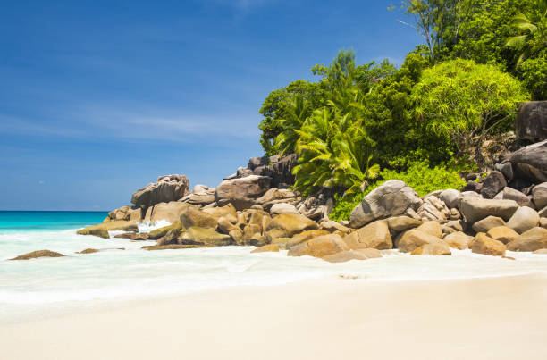 istock Beautiful Anse Georgette beach in the Seychelles 1338656565