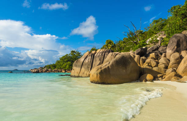 istock Anse Lazio beach in Seychelles 1338656647