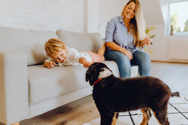 istock Little boys playing with mom and dog 1338656693