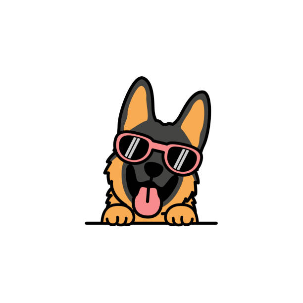 ilustrações, clipart, desenhos animados e ícones de cachorrinho pastor alemão fofo com óculos escuros, ilustração vetorial - cão pastor alemão