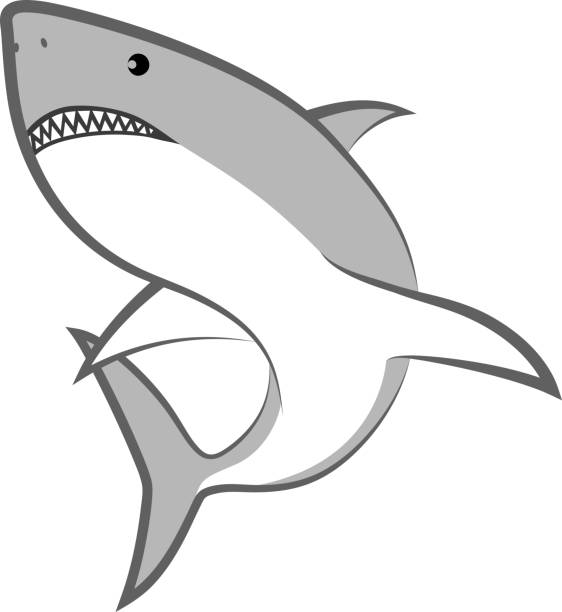shark isolated shark - clip art illustration tiger shark stock illustrations