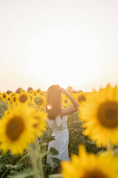 istock young beautiful woman between sunflowers in sunset 1338666362
