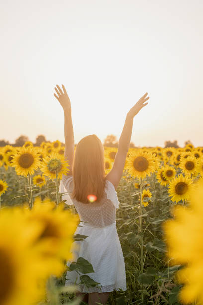 istock young beautiful woman between sunflowers in sunset 1338668317
