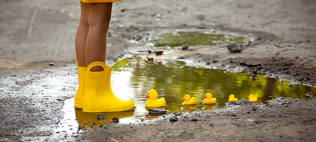 A girl in a yellow dress and yellow rubber boots lets a family of yellow ducks in a puddle. Bright picture of summer holidays. Summer rain. Spring Girl under a rainbow umbrella