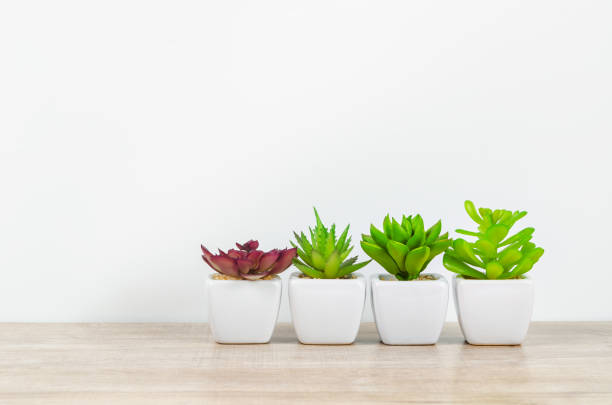 istock Empty background wallpaper top table with green plant. 1338673586