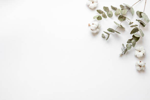 istock Floral flat lay pattern with eucalyptus leaves and cotton 1338674958