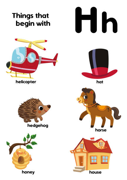 110+ Animal Alphabet Letter H For Horse Illustration Vector Stock ...