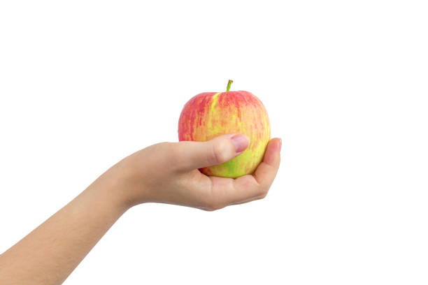 istock Yellow and red apple in hand isolated on a white background photo 1338677921