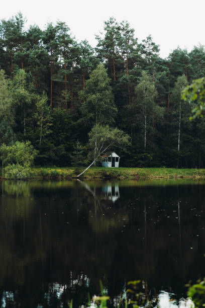 Scenic view of the fireplace hut hidden in the pine forest by reflection ng lake during summertime