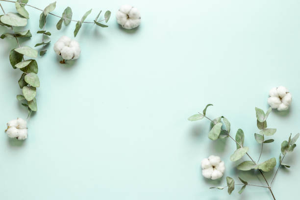 istock Round frame floral pattern with eucalyptus leaves and cotton 1338683280
