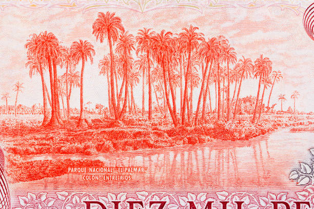 istock National park from old Argentinian money 1338685175