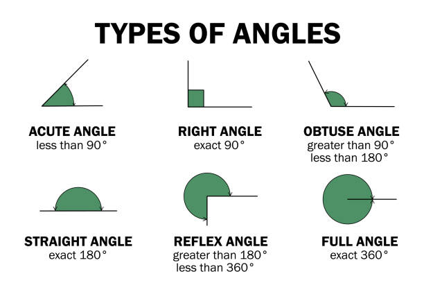 ilustrações de stock, clip art, desenhos animados e ícones de types of degrees angles - acute, right, obtuse, straight, reflex, full angle. educaional infographic with names, definitions, examples and diagrams. school geometry learning material - ângulo agudo