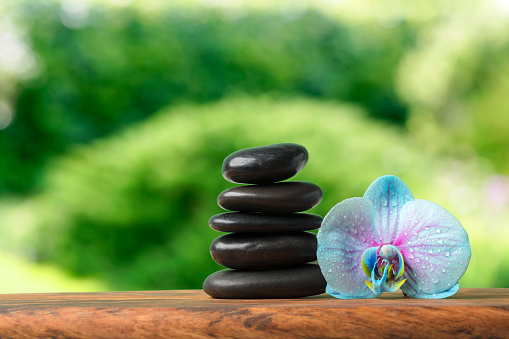 Orchid flower with a stack of black massage stones on a wooden table (mango wood). Green defocused garden background. Orchid flower is covered with water drops. Space for copy.
