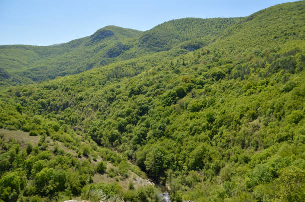istock mountain landscape in the spring in serbia 1338688818