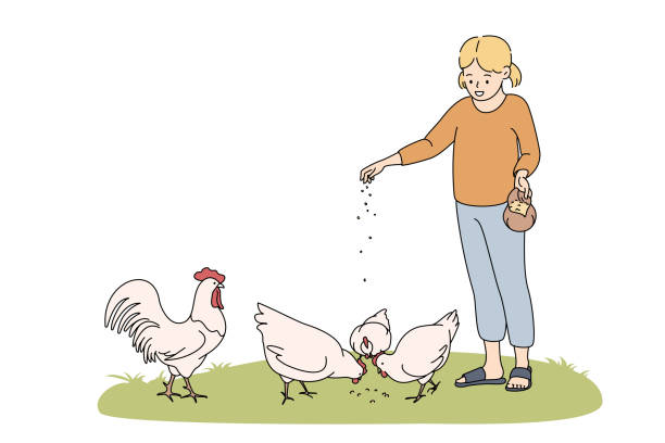 koncepcja rolnictwa, rolnictwa, karmienia zwierząt - young animal young bird baby chicken chicken stock illustrations