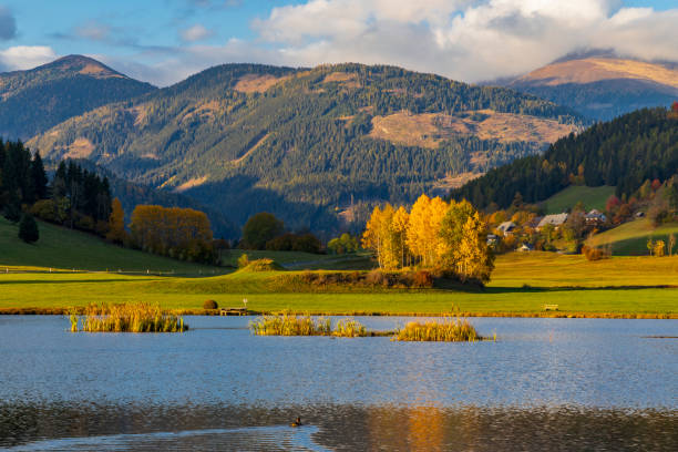 étang d’automne sous les montagnes, district de murau, styrie, autriche - european alps austria autumn colors photos et images de collection
