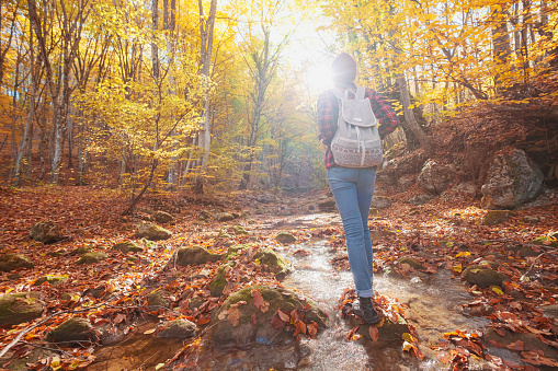 Woman hiking looking at scenic view of autumn foliage mountain landscape. Outdoor adventure travel lady standing relaxing and hiking in nature in autumn season.