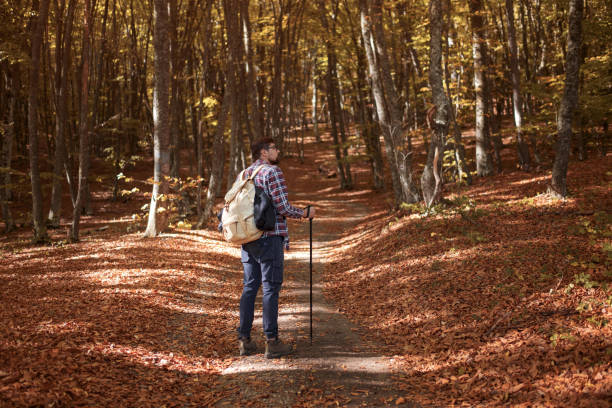 istock Caucasian male model outdoors in nature. 1338698381