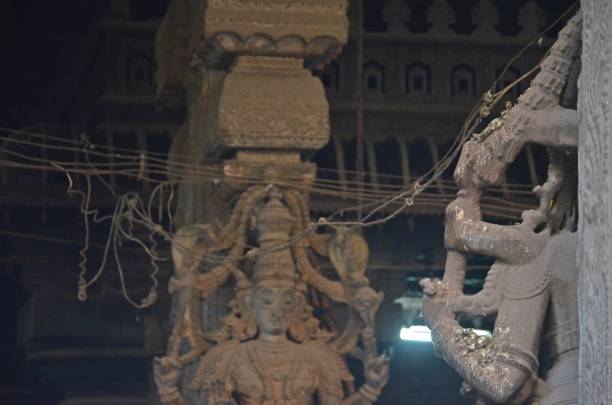 скульптуры и резьба в храме минакши амман, мадурай, тамилнад - tamil nadu tamil temple amman стоковые фото и изображения