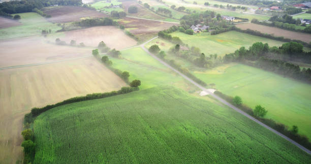 istock Aerial view of cornfield 1338700734
