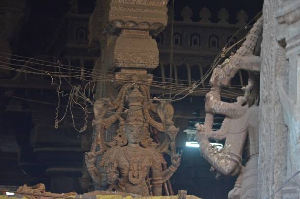 скульптуры и резьба в храме минакши амман, мадурай, тамилнад - tamil nadu tamil temple amman стоковые фото и изображения