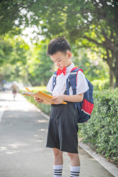 istock A pupil with a book in his hand 1338701742
