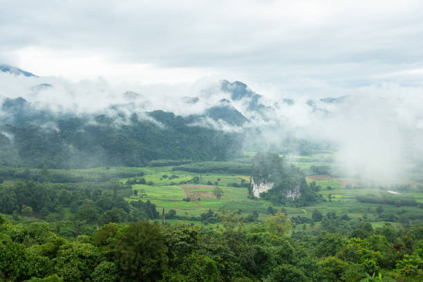 istock View of mountain range with greenery forest and misty environment. 1338702451