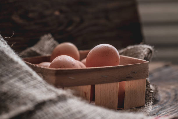 istock Farm eggs on rural wooden background 1338706982