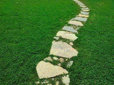 Picture of a landscaping stone path