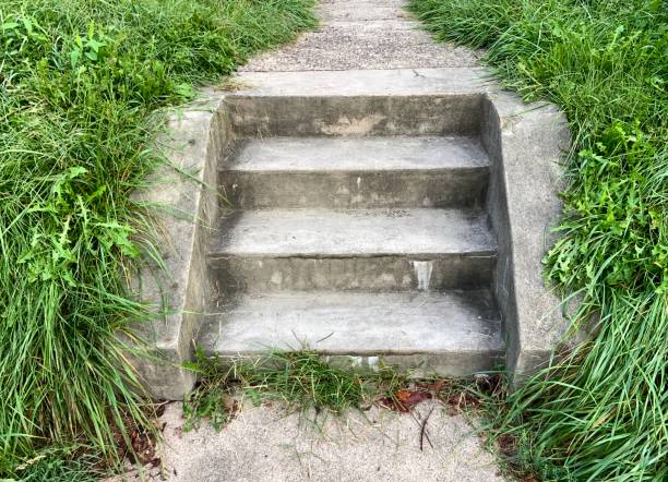 istock Old Concrete Steps and Overgrown Lawn 1338711545