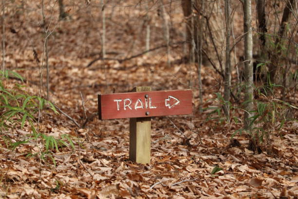 istock Trail Sign on Path full of Leaves 1338711654