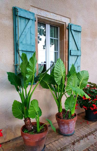 france country house - france holiday villa built structure vertical imagens e fotografias de stock