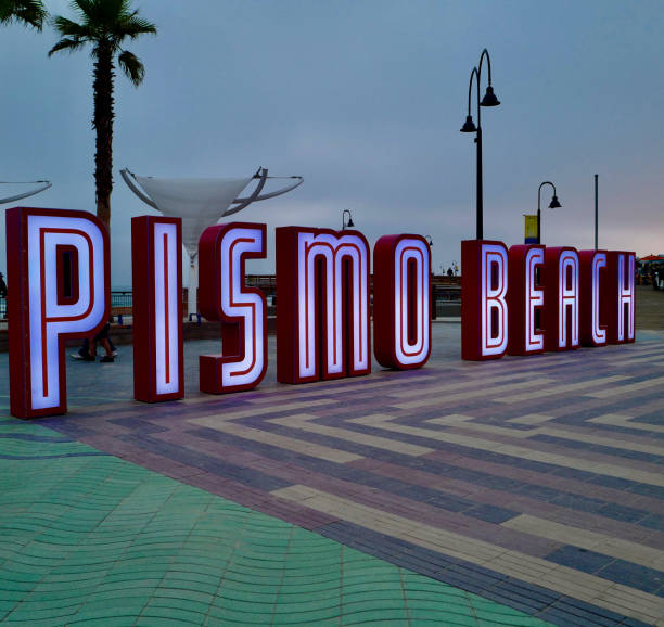 istock Pismo Beach, California 1338716003