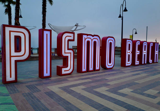istock Pismo Beach, California 1338716011