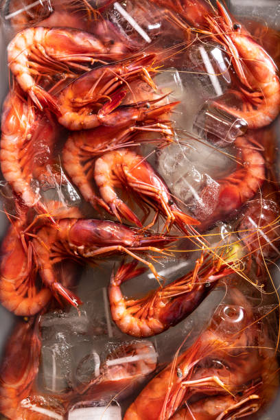 istock Fresh red shrimps seafood from Mediterranean sea in ice full frame 1338717785