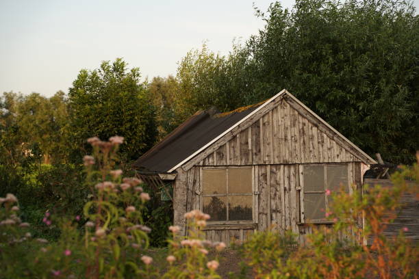 istock Weathered chicken coop / Verweerd kippenhok 1338717937