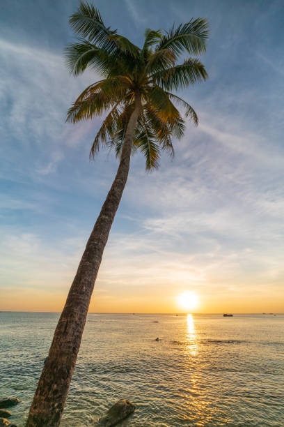 istock Sunset on Dinh Cau beach 1338719090