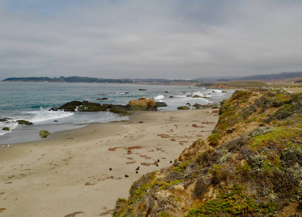 istock San Simeon, California 1338720266