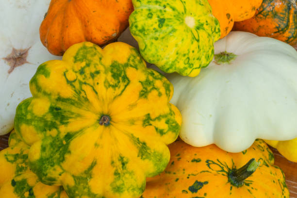 istock multicolored pumpkin close-up, autumn composition, top view 1338720275