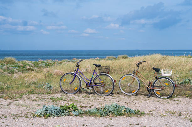istock two bicycles stand on the beach in nature 1338720406