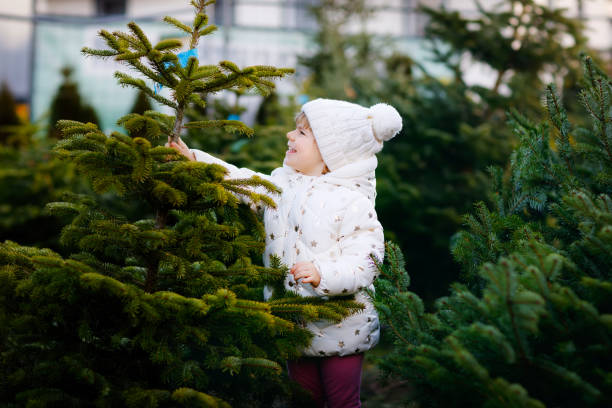 Adorable little toddler girl holding Christmas tree on market. Happy healthy baby child in winter fashion clothes choosing and buying big Xmas tree in outdoor shop. Family, tradition, celebration. stock photo