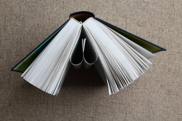 istock An open book lies on the bed 1338723962
