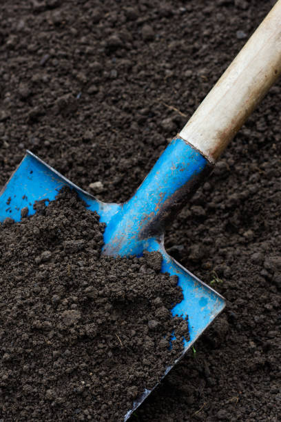 istock Soil on blue color shovel in soil background, copy space 1338724098