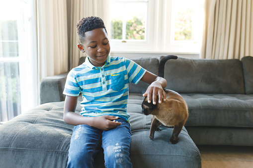 Happy african american boy sitting on couch and petting his cat in sunny living room. spending time alone at home.
