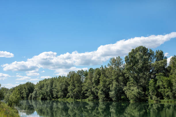 istock A beautiful landscape of the river surrounded by trees. 1338725854